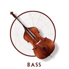 Bass